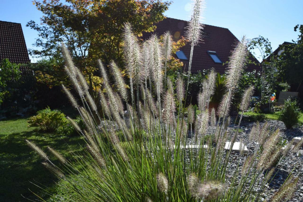 Homestay Cozy Room Markdorf Exterior foto